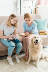 Dogdit.com รวมโรงแรมรีสอร์ทสุนัขพักได้ บรีดเดอร์ผู้เพาะเลี้ยงสุนัข ฟาร์มสุนัข คลีนิคโรงพยาบาลสัตวแพทย์ ร้านอุปกรณ์ สินค้า สัตว์เลี้ยง ซื้อขายสุนัข ค้นหาได้ 77 จังหวัดทั่วไทย.