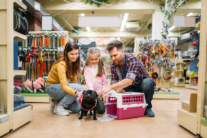 Dogdit.com รวมโรงแรมรีสอร์ทสุนัขพักได้ บรีดเดอร์ผู้เพาะเลี้ยงสุนัข ฟาร์มสุนัข คลีนิคโรงพยาบาลสัตวแพทย์ ร้านอุปกรณ์ สินค้า สัตว์เลี้ยง ซื้อขายสุนัข ค้นหาได้ 77 จังหวัดทั่วไทย.